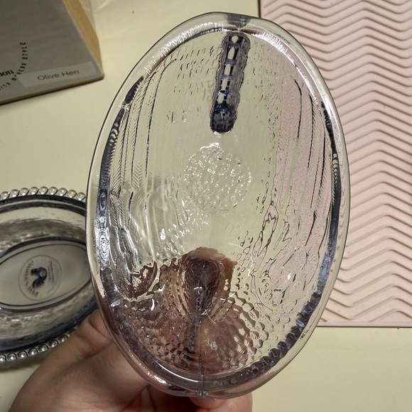 Rose’s Closet Smoke (gray) hen on nest with original box *Callouts* - Picture 5 of 13